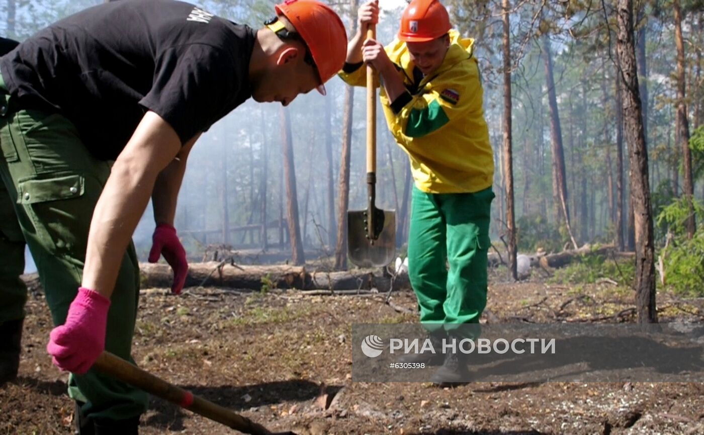 Лесные пожары в регионах России