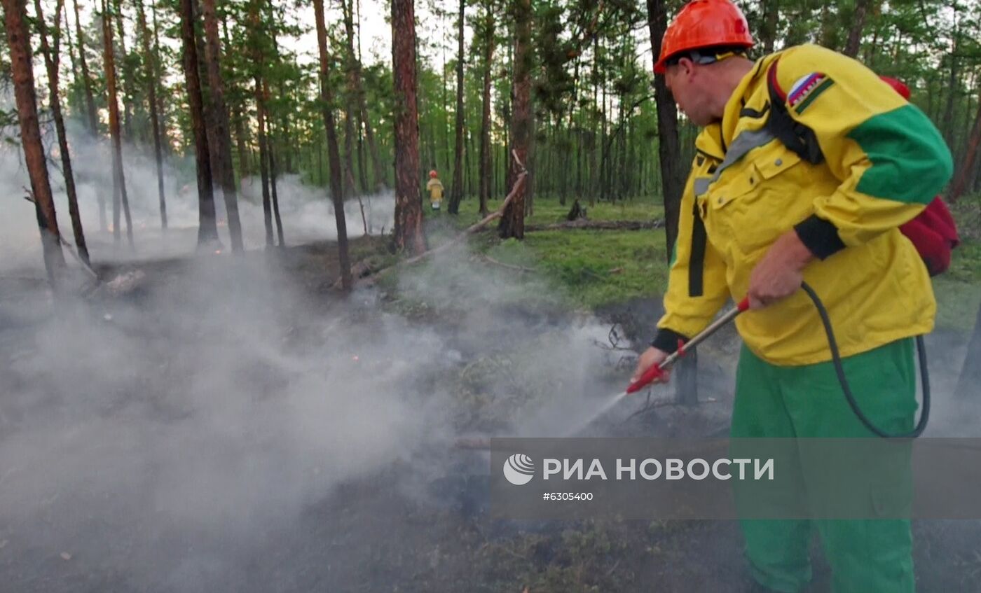 Лесные пожары в регионах России