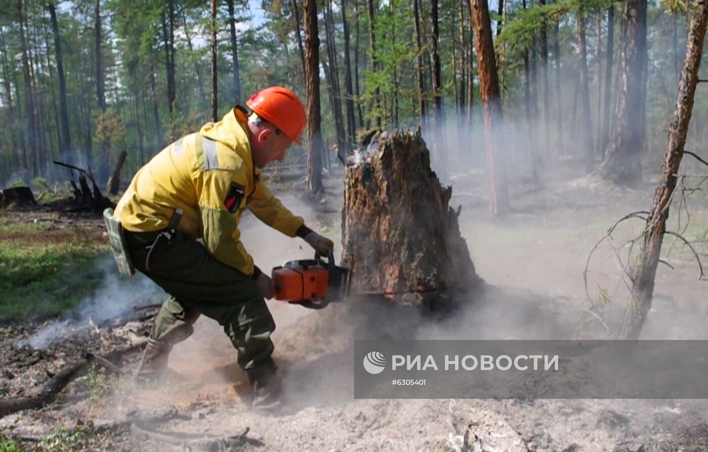 Лесные пожары в регионах России