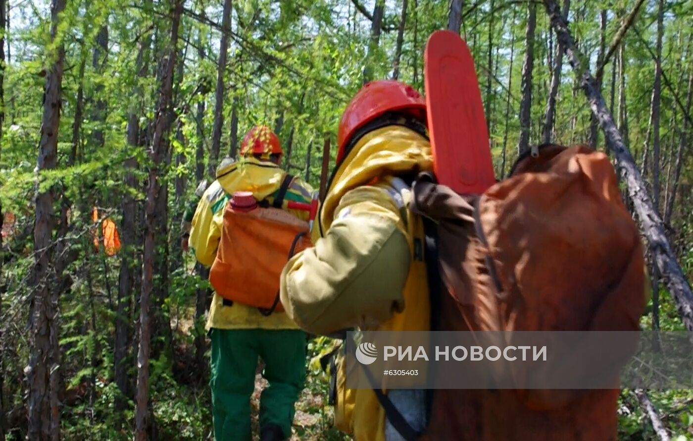 Лесные пожары в регионах России