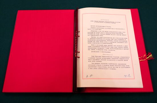 Встреча глав МИД РФ и Германии С. Лаврова и Х. Мааса  