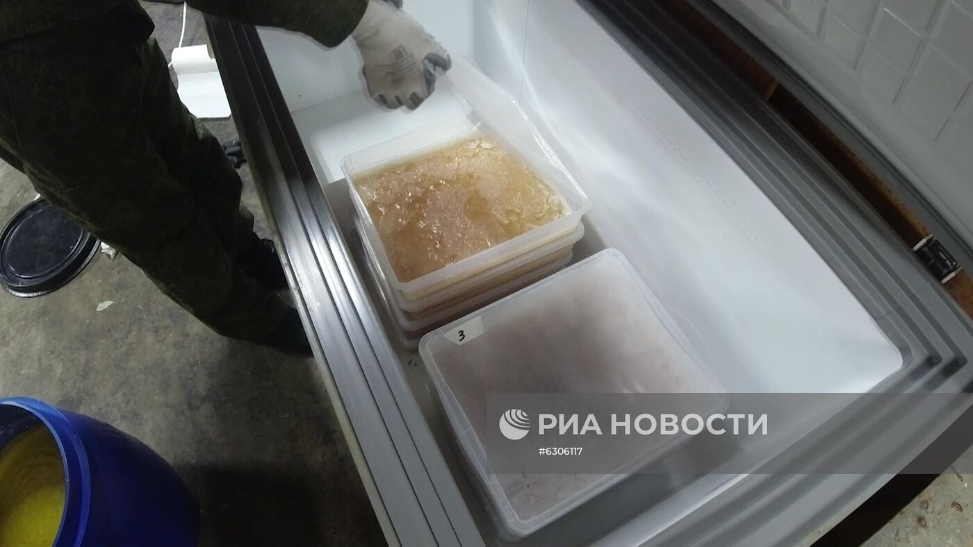 ФСБ РФ пресекла деятельность преступной группы по производству и сбыту наркотиков