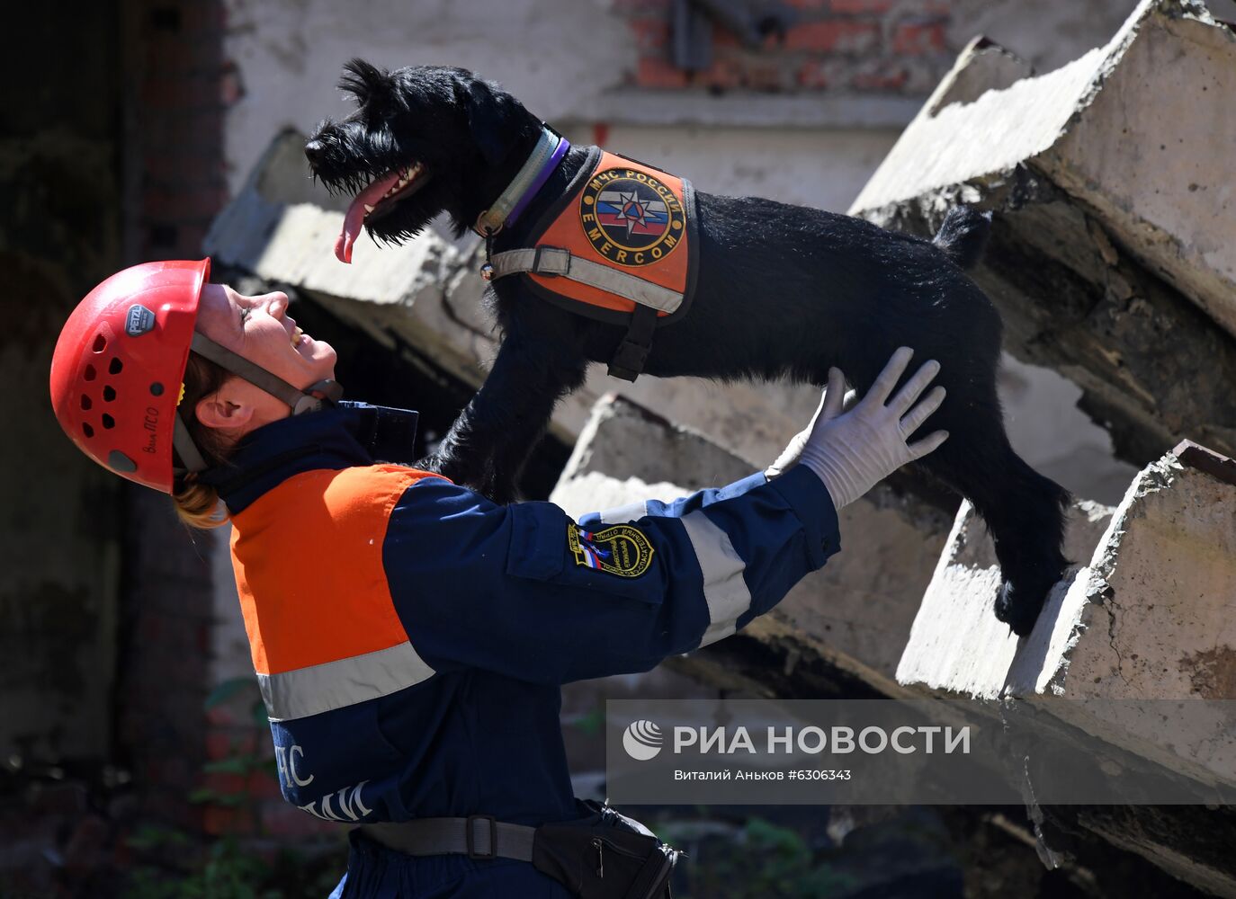 Учения кинологической службы во Владивостоке