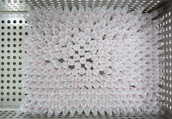 Производство вакцины от COVID-19 на фармацевтическом заводе "Биннофарм"