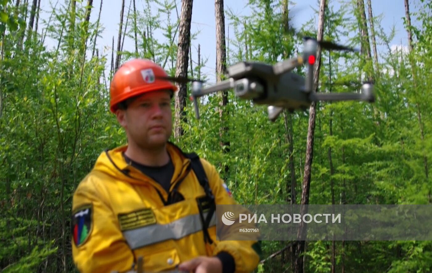 Лесные пожары в регионах России