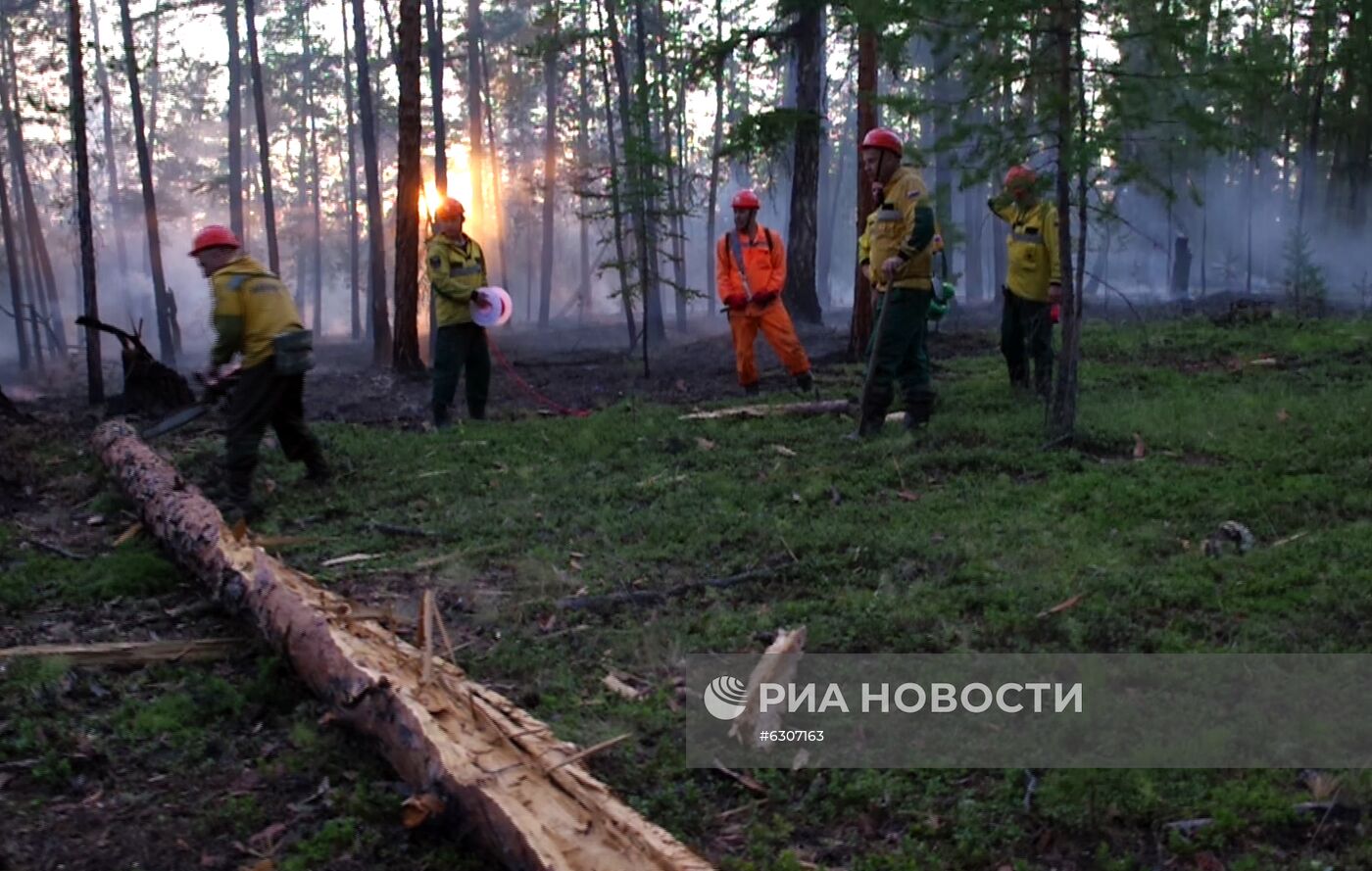 Лесные пожары в регионах России