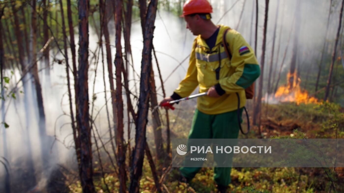 Лесные пожары в регионах России