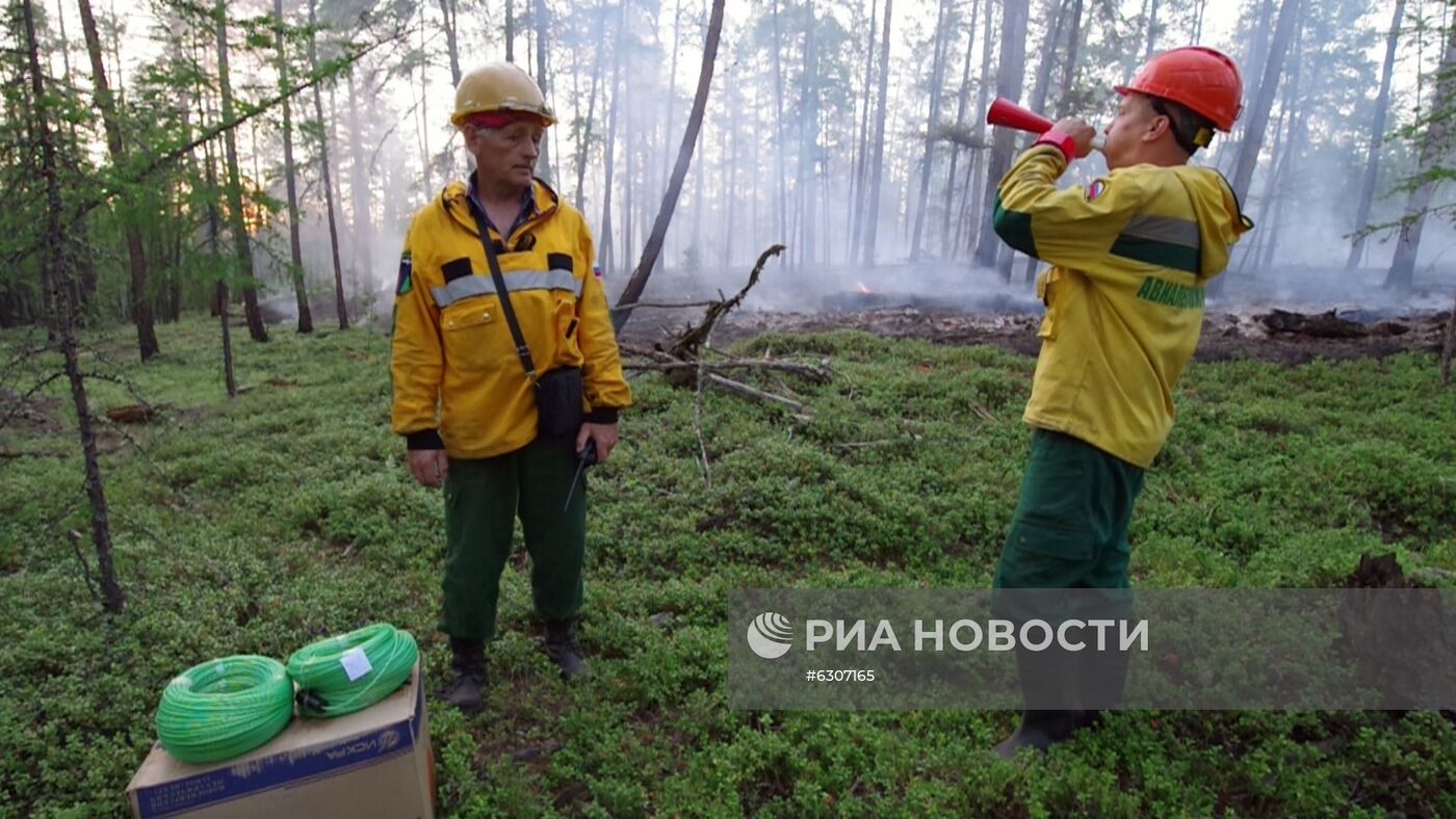 Лесные пожары в регионах России