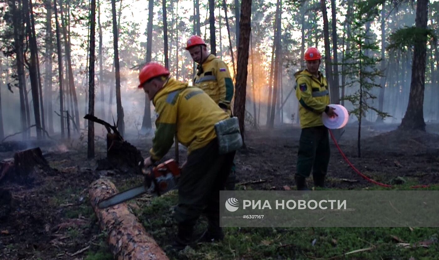 Лесные пожары в регионах России