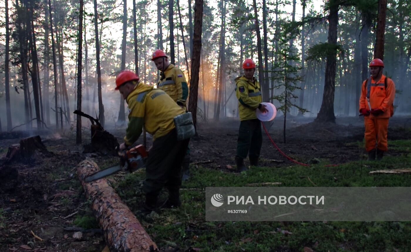 Лесные пожары в регионах России