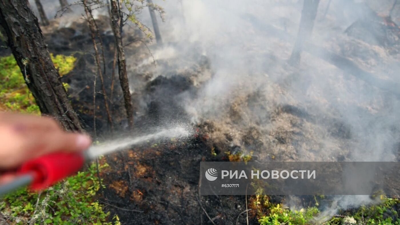 Лесные пожары в регионах России