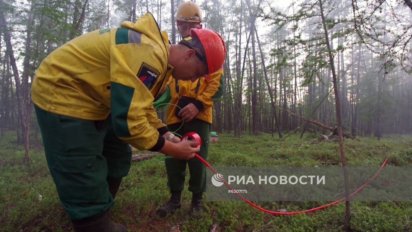 Лесные пожары в регионах России