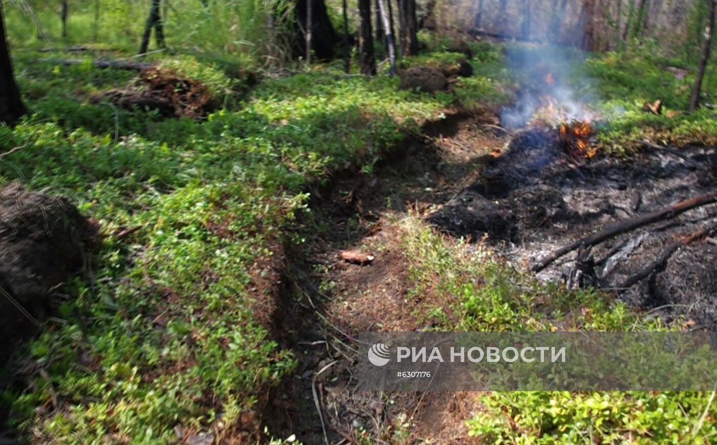 Лесные пожары в регионах России