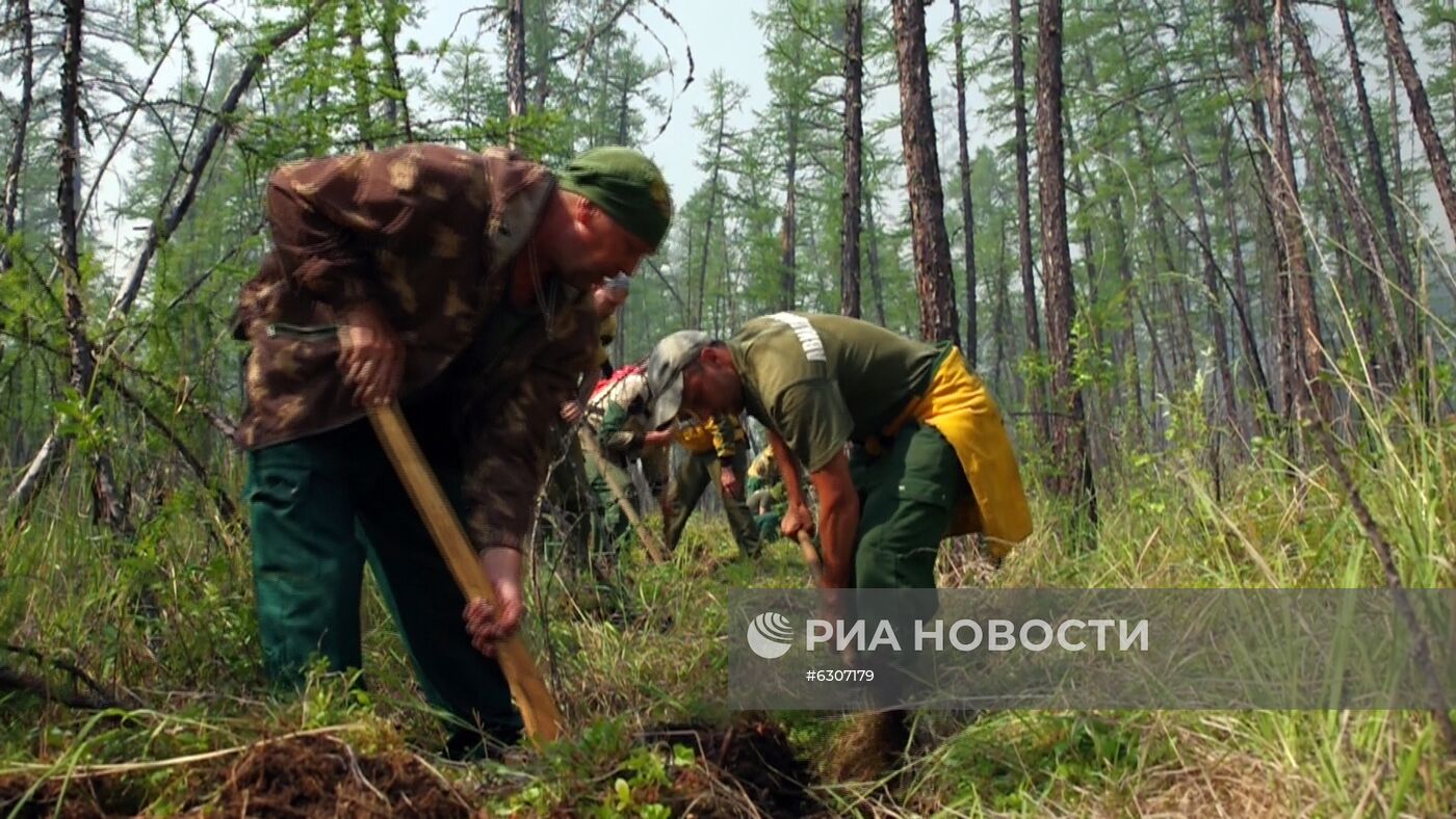 Лесные пожары в регионах России