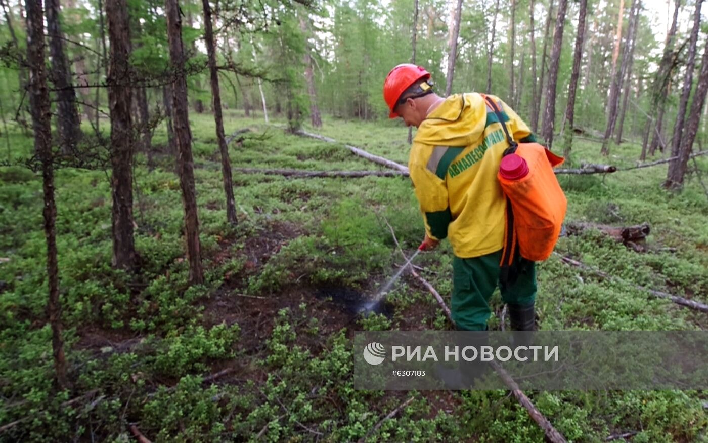 Лесные пожары в регионах России