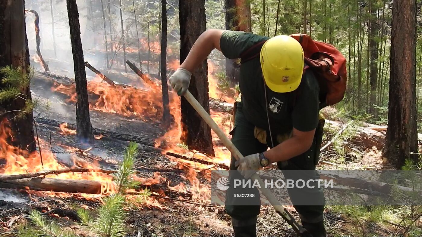 Лесные пожары в регионах России