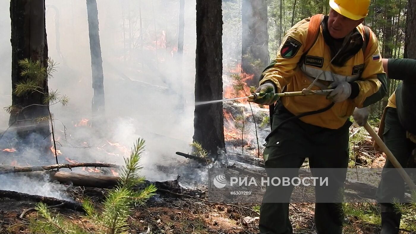 Лесные пожары в регионах России