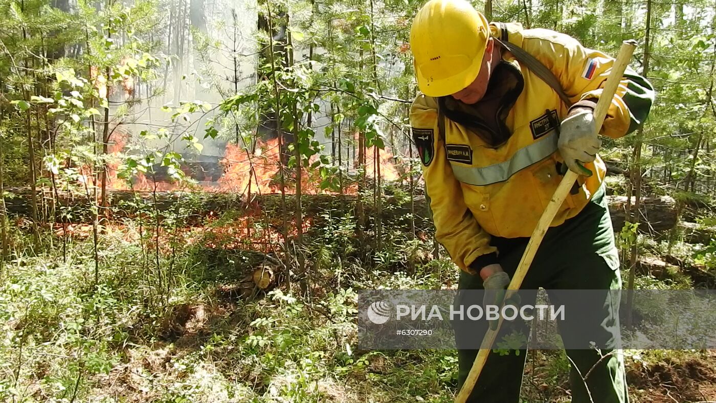 Лесные пожары в регионах России