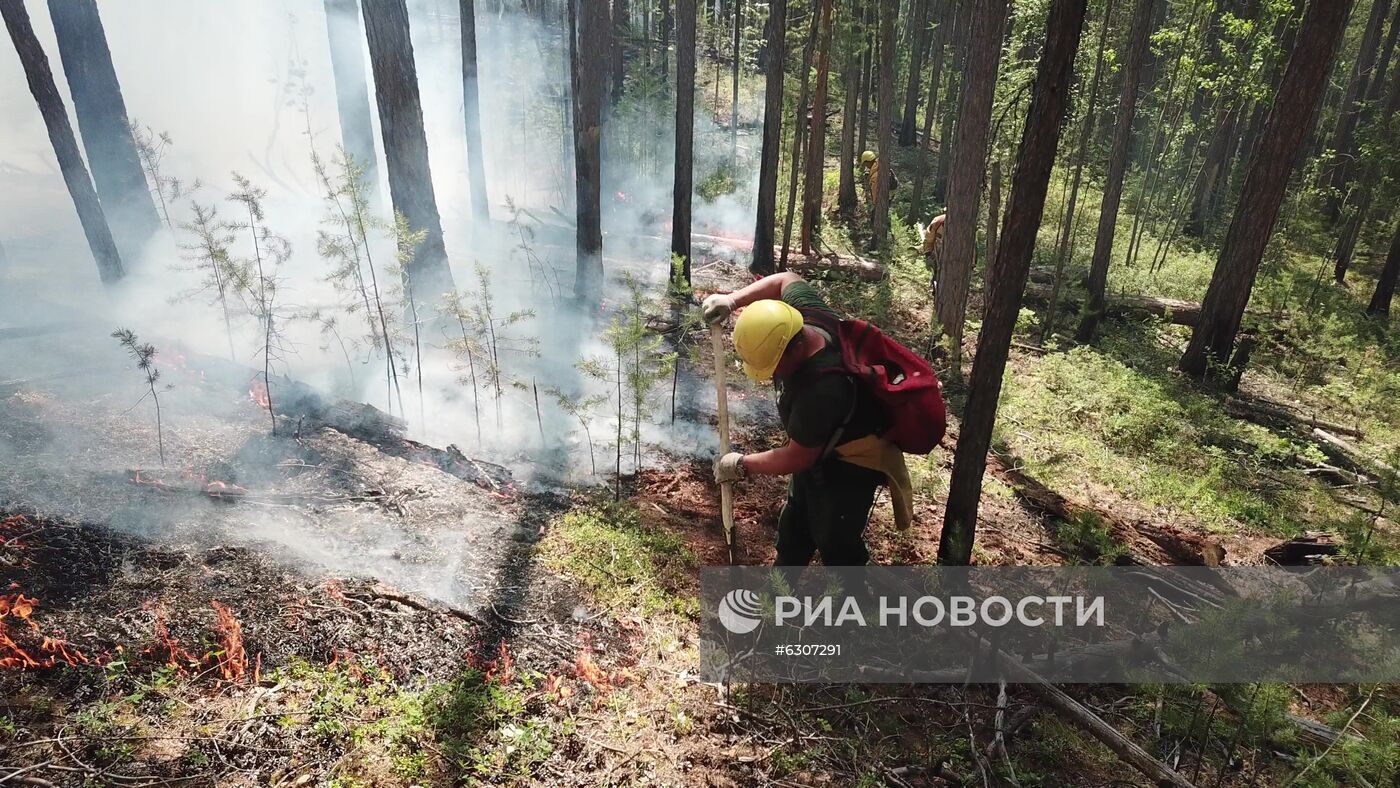 Лесные пожары в регионах России