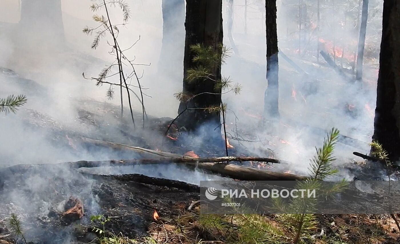 Лесные пожары в регионах России