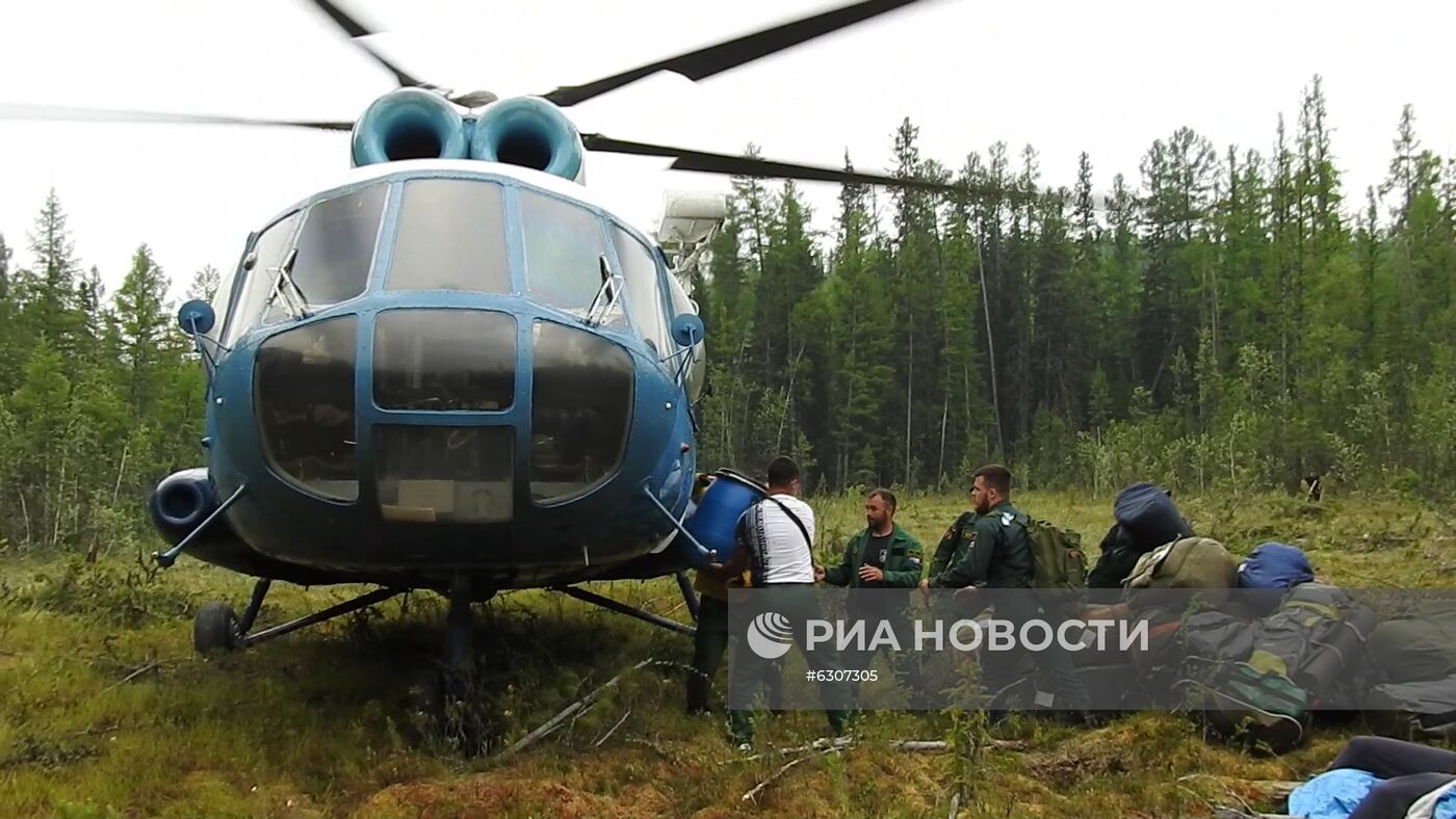 Лесные пожары в регионах России