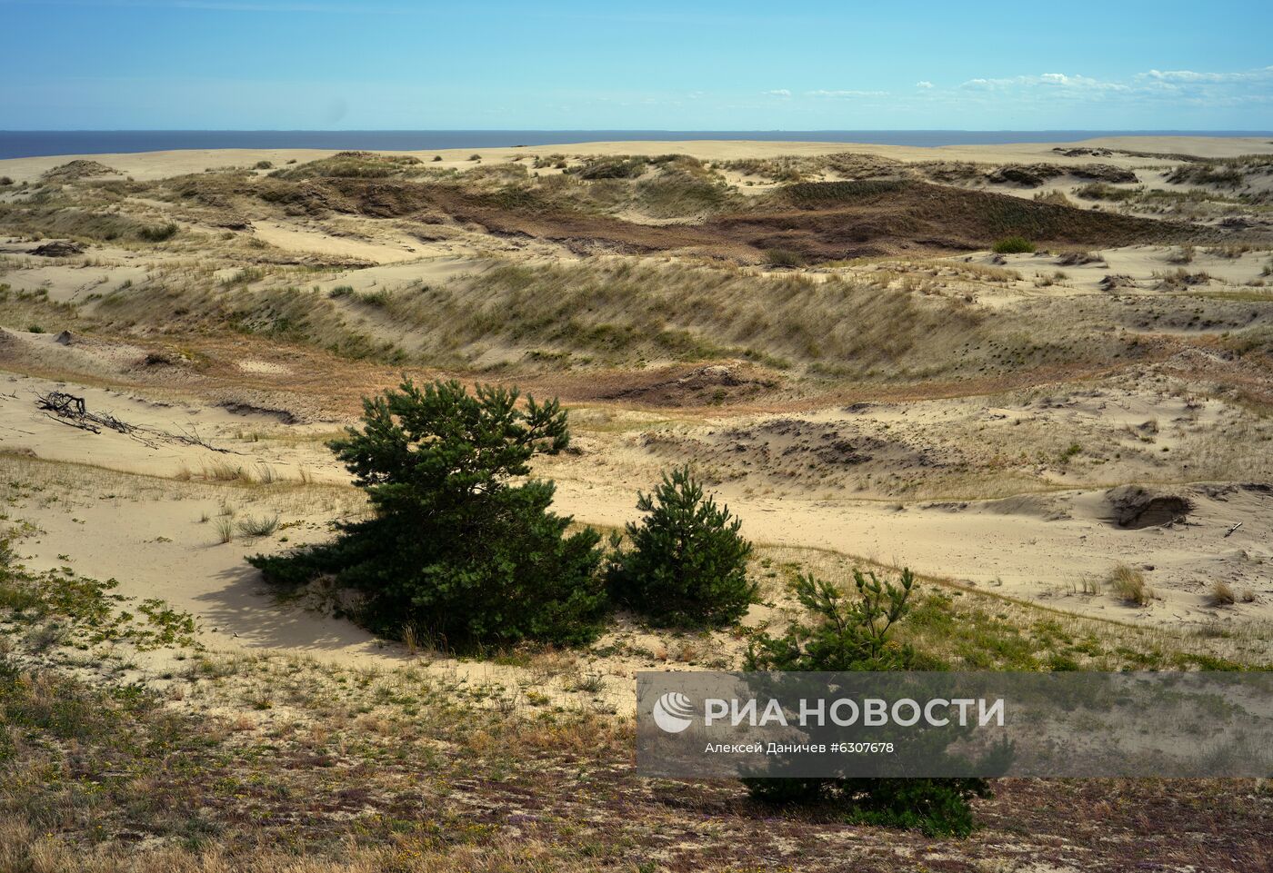 Национальный парк "Куршская коса"