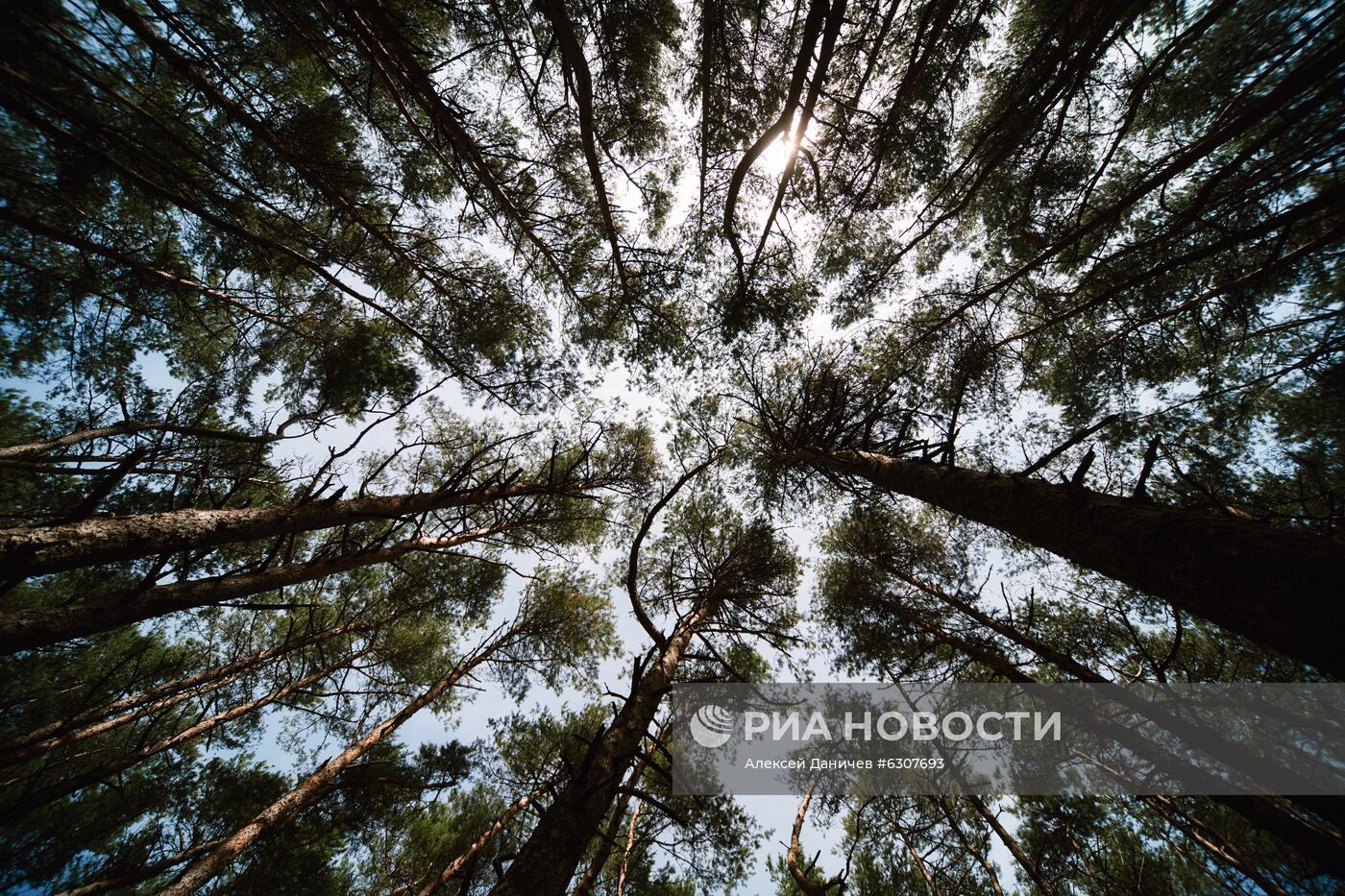 Национальный парк "Куршская коса"