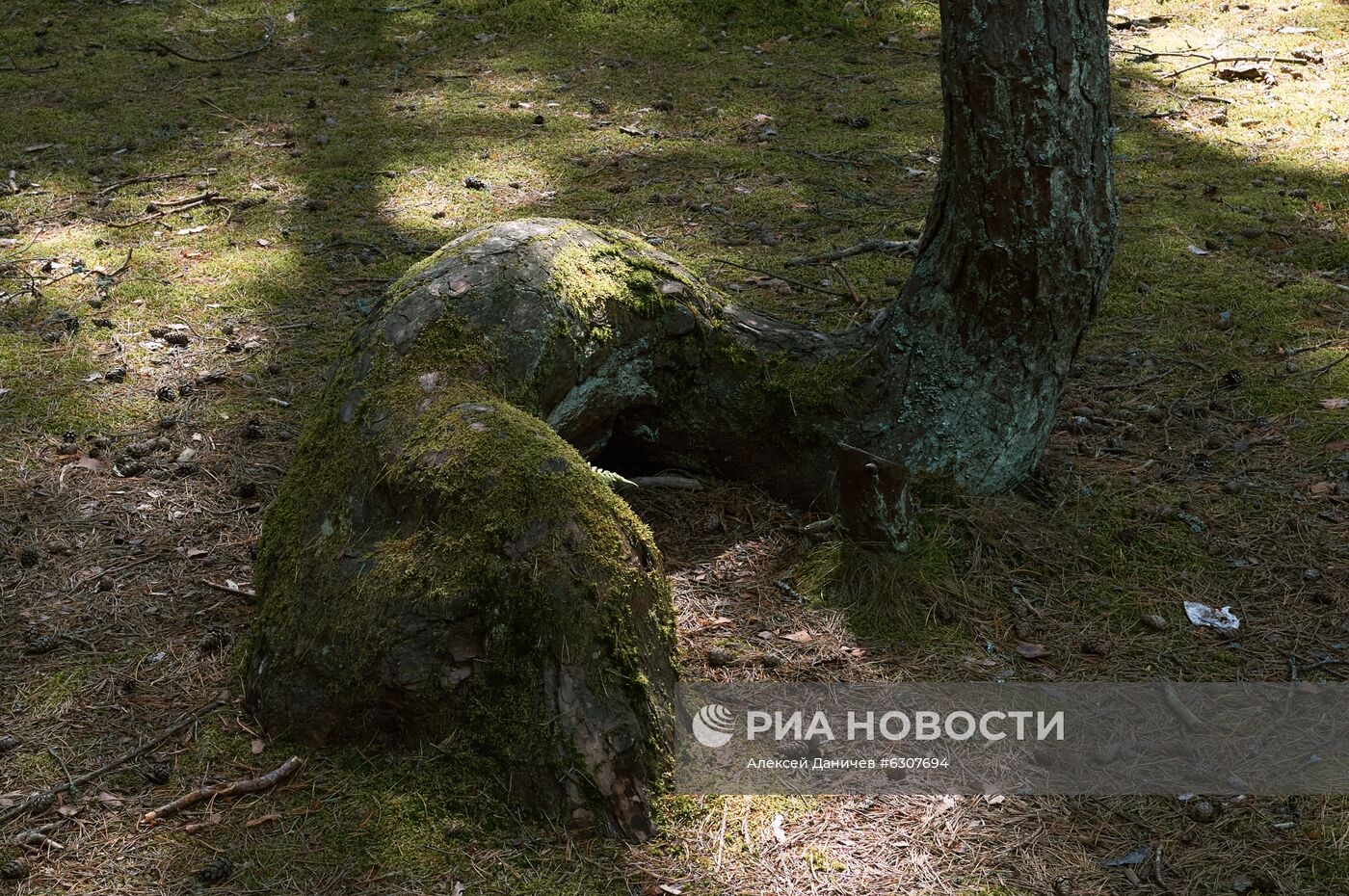 Национальный парк "Куршская коса"