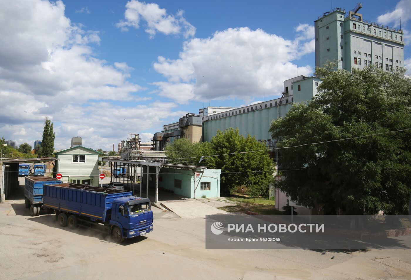 Волгоградские аграрии увеличивают отгрузку зерна на экспорт