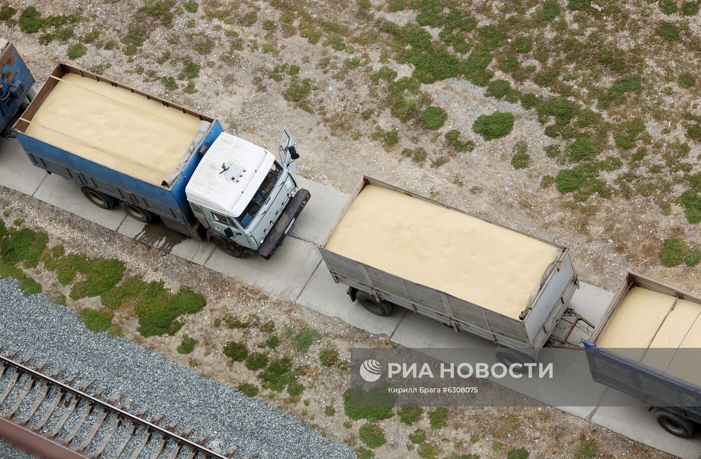 Волгоградские аграрии увеличивают отгрузку зерна на экспорт