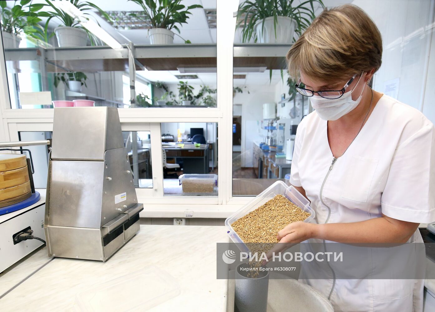 Волгоградские аграрии увеличивают отгрузку зерна на экспорт Волгоградские аграрии увеличивают отгрузку зерна на экспорт