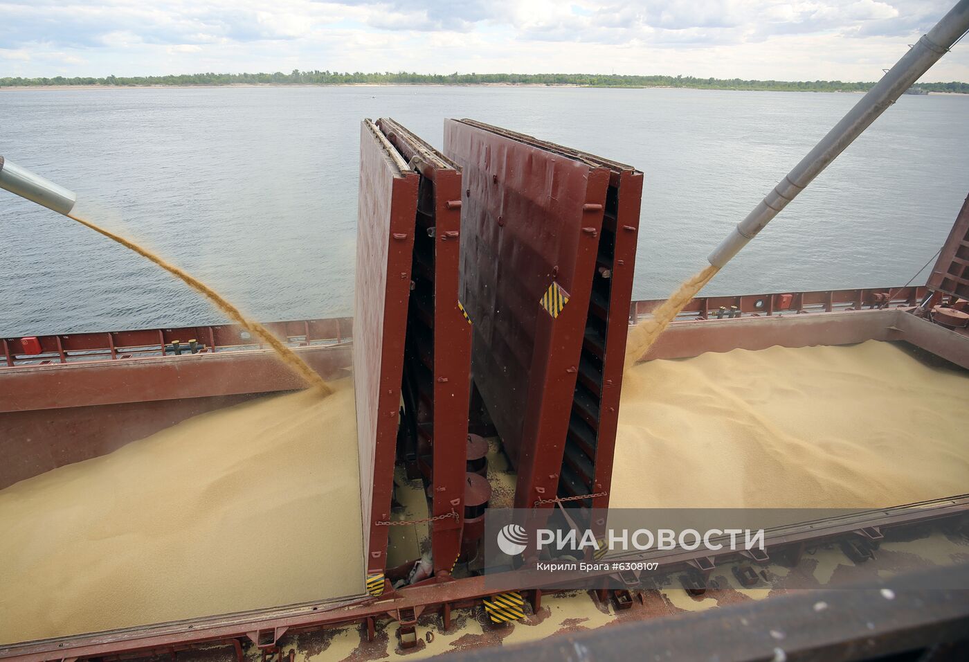 Волгоградские аграрии увеличивают отгрузку зерна на экспорт