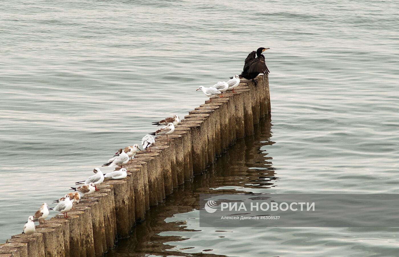 Регионы России. Калининградская область