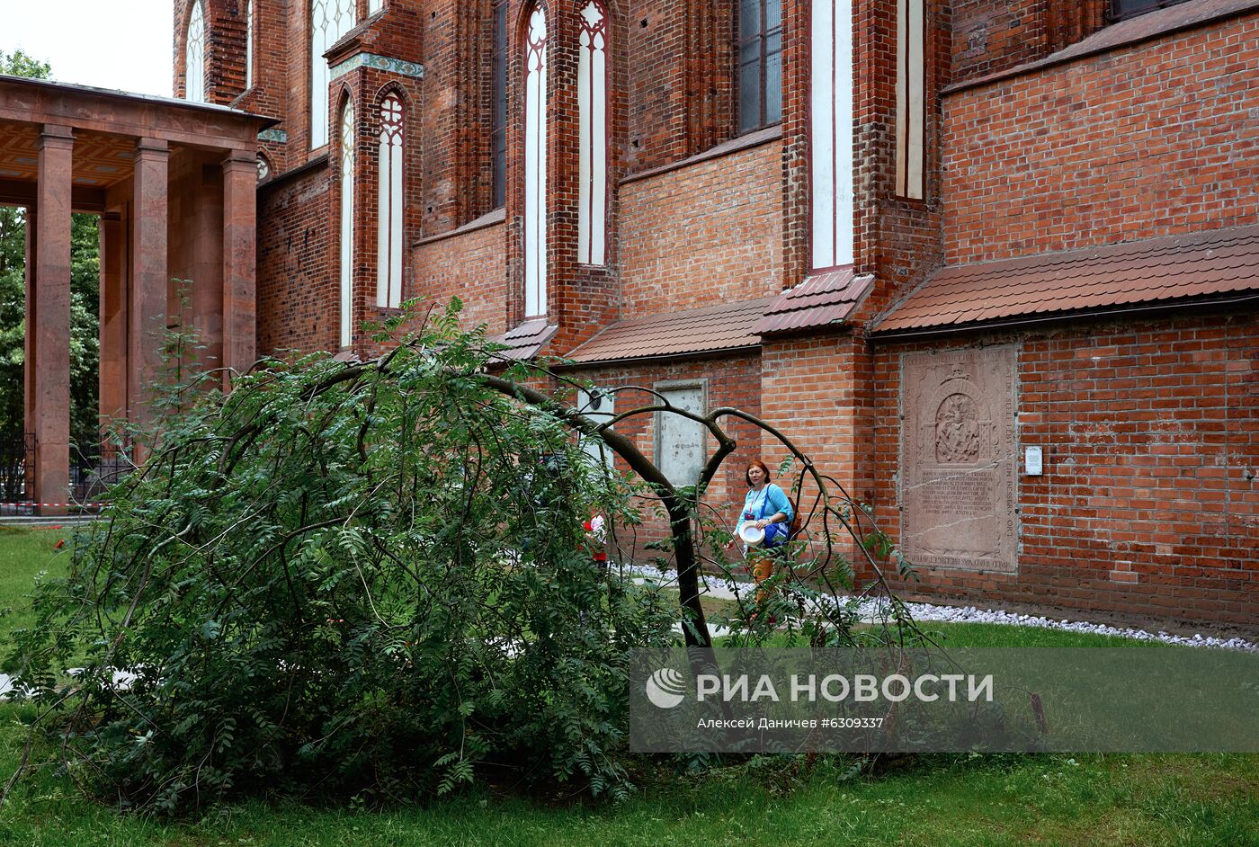 Города России. Калининград