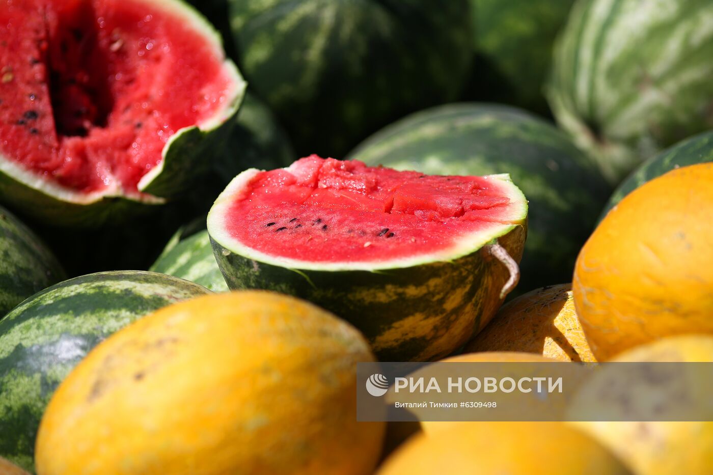 Выращивание арбузов и дынь в Краснодарском крае