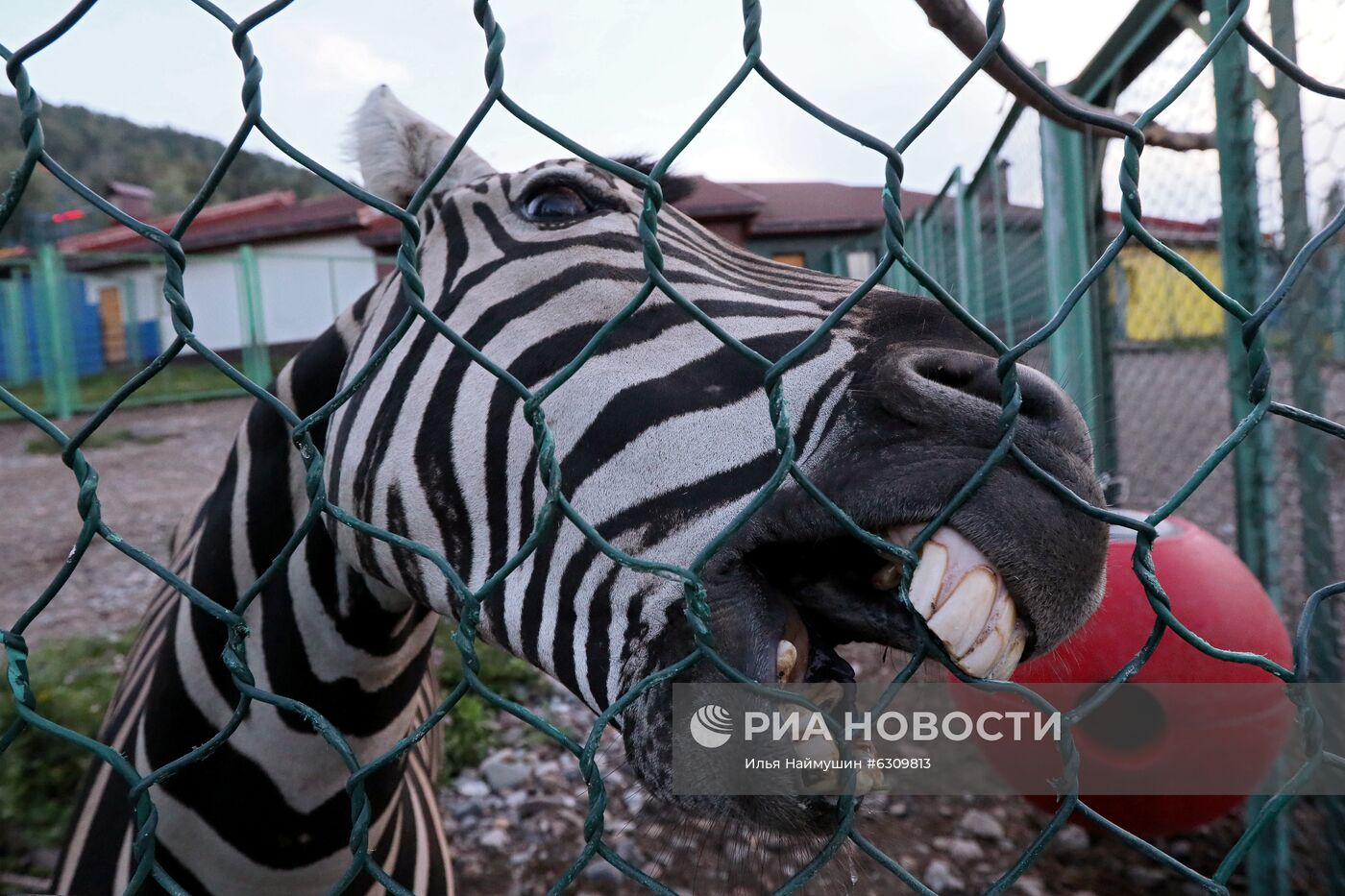 20-летие парка флоры и фауны "Роев ручей" в Красноярске