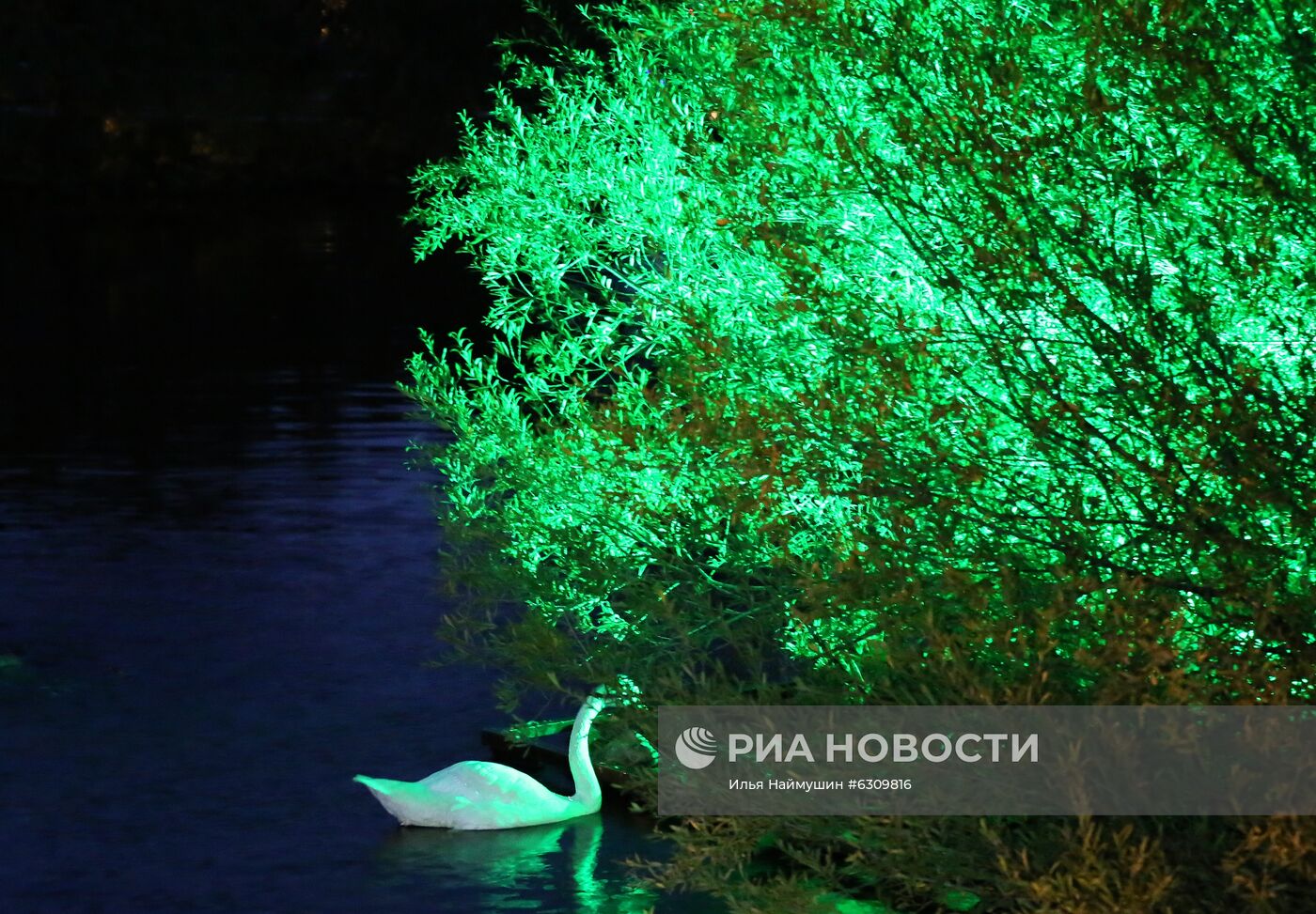 20-летие парка флоры и фауны "Роев ручей" в Красноярске