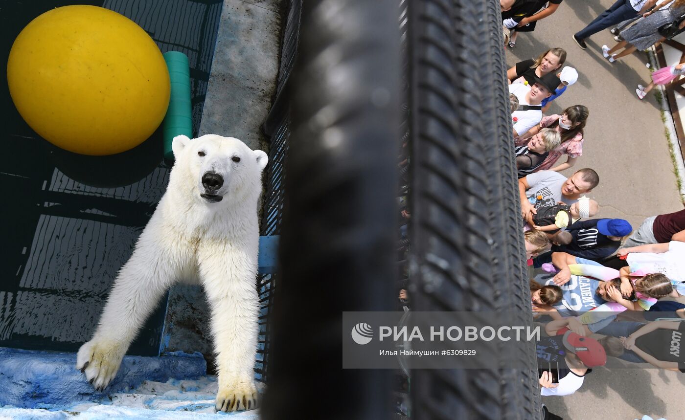 20-летие парка флоры и фауны "Роев ручей" в Красноярске