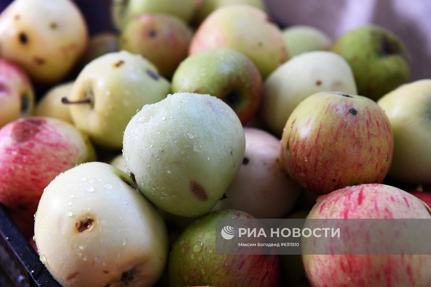 Праздник Преображения Господня в регионах России