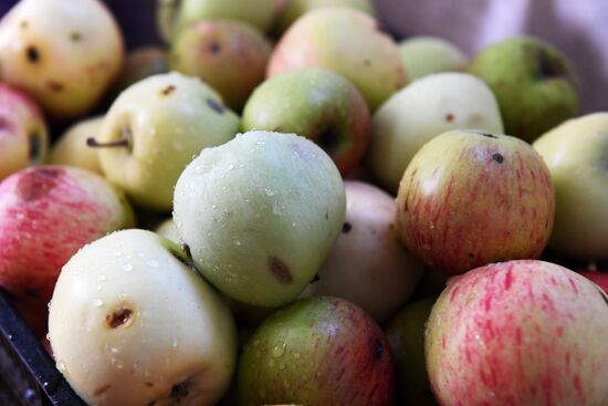 Праздник Преображения Господня в регионах России