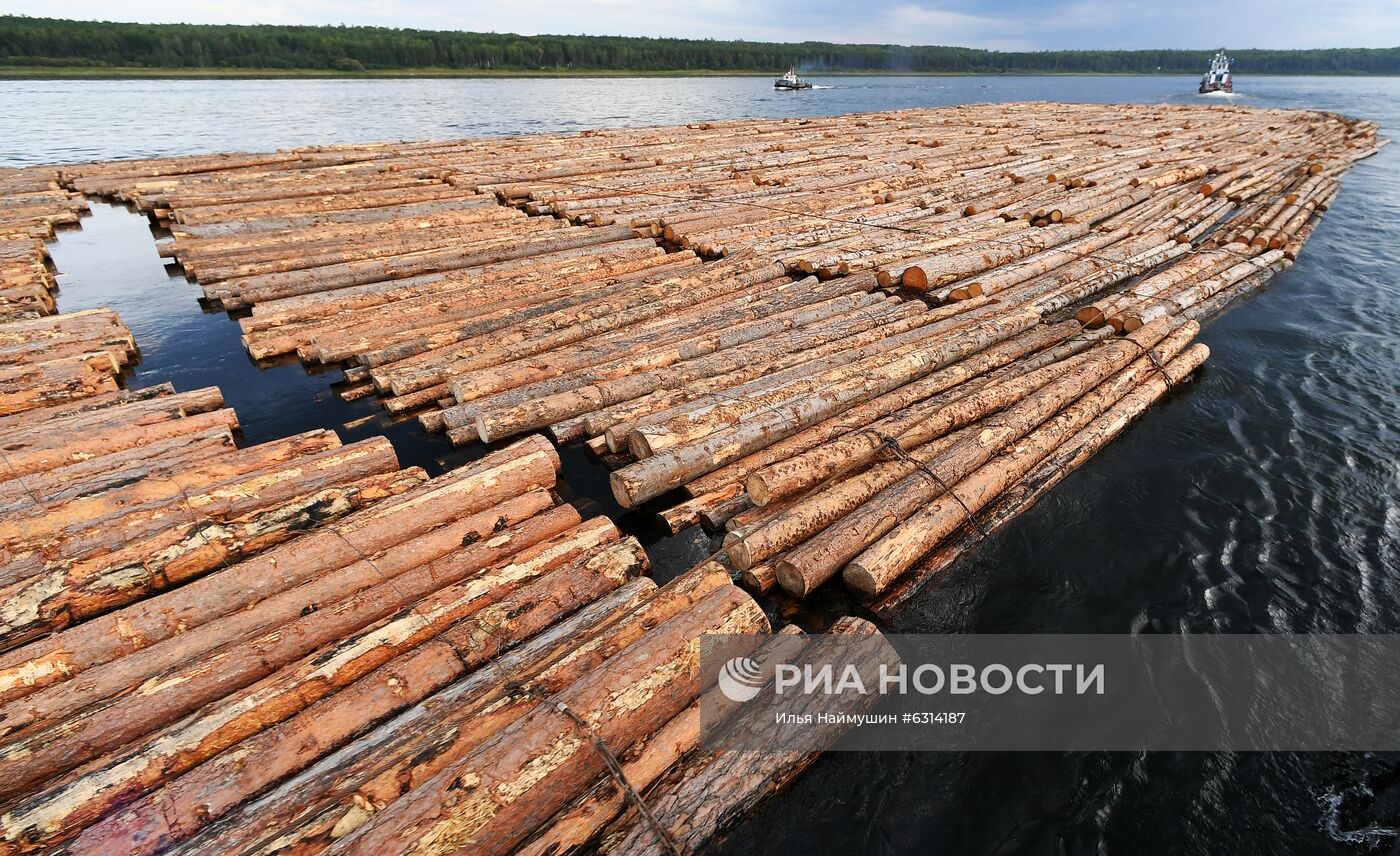 Лесосплав на Ангаре