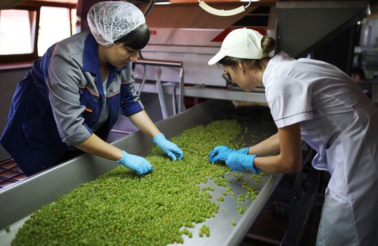 Винодельческое хозяйство "Лефкадия" в Краснодарском крае