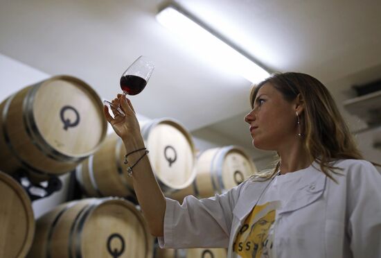 Винодельческое хозяйство "Лефкадия" в Краснодарском крае