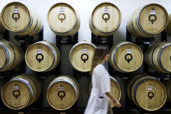 Винодельческое хозяйство "Лефкадия" в Краснодарском крае