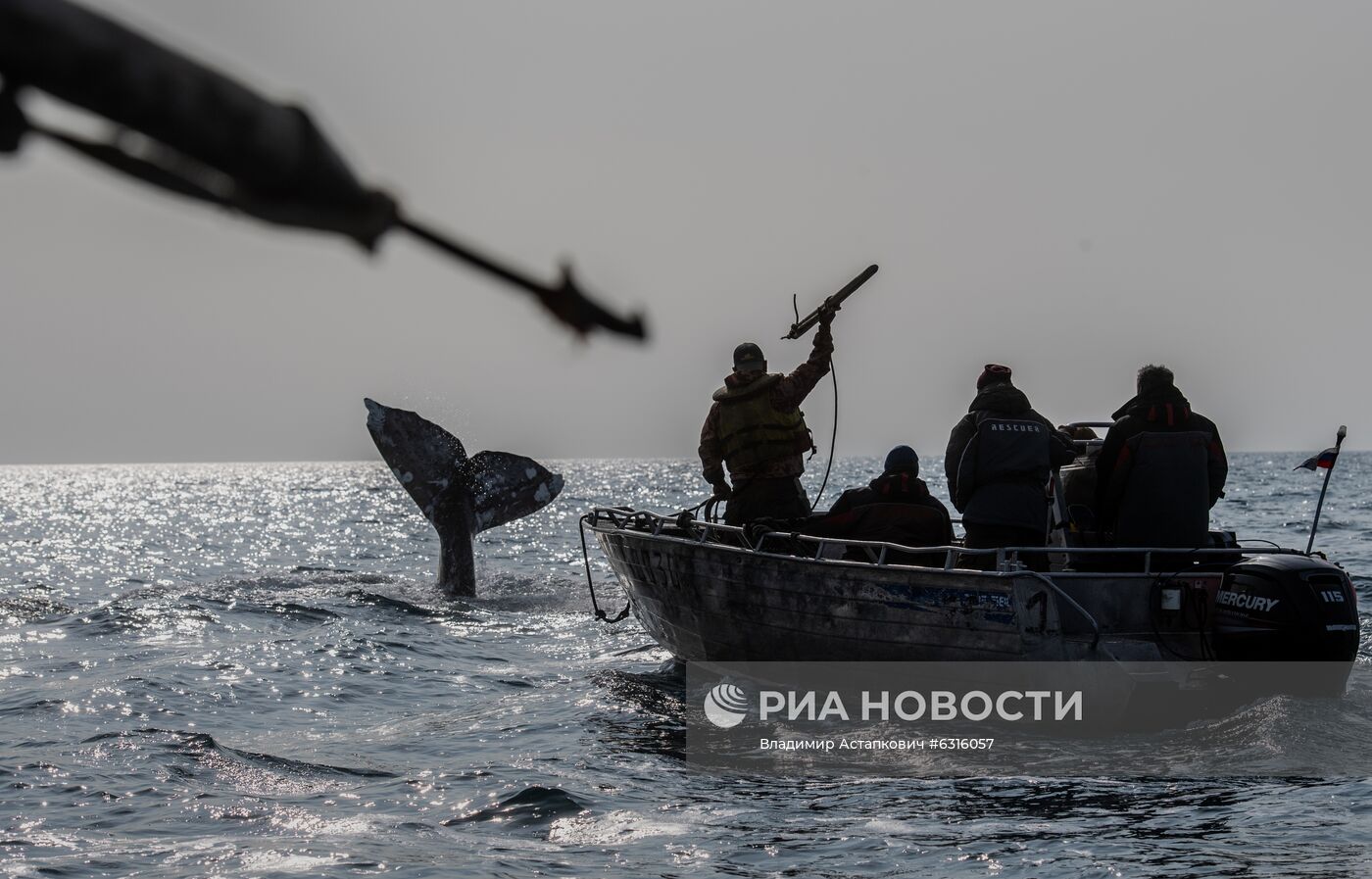 Морской промысел коренных жителей Чукотки