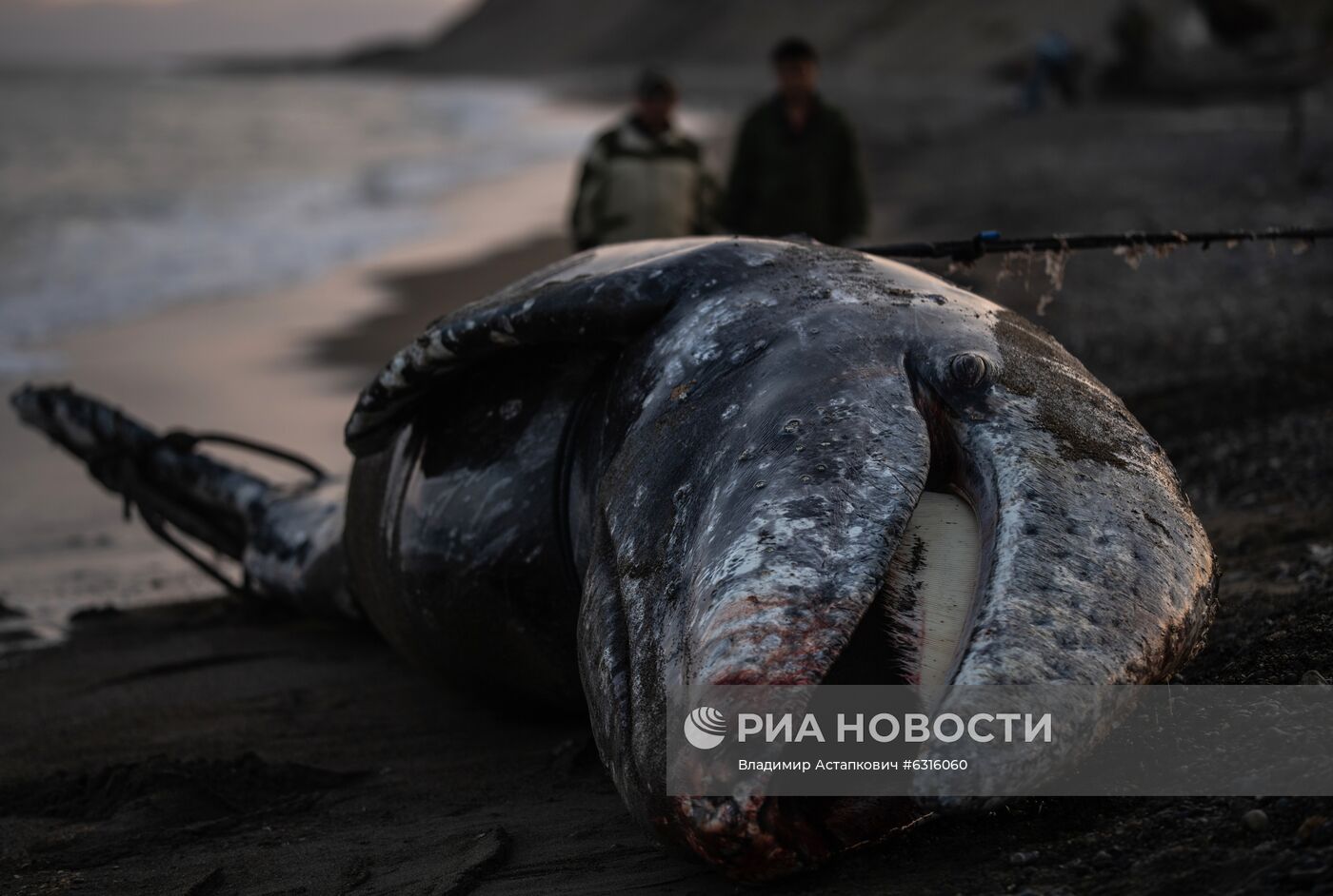 Морской промысел коренных жителей Чукотки