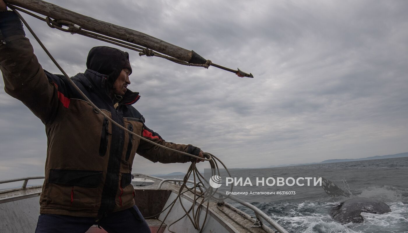 Морской промысел коренных жителей Чукотки