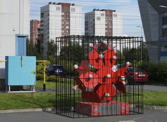 В Петербурге появился "Памятник победе над коронавирусом"