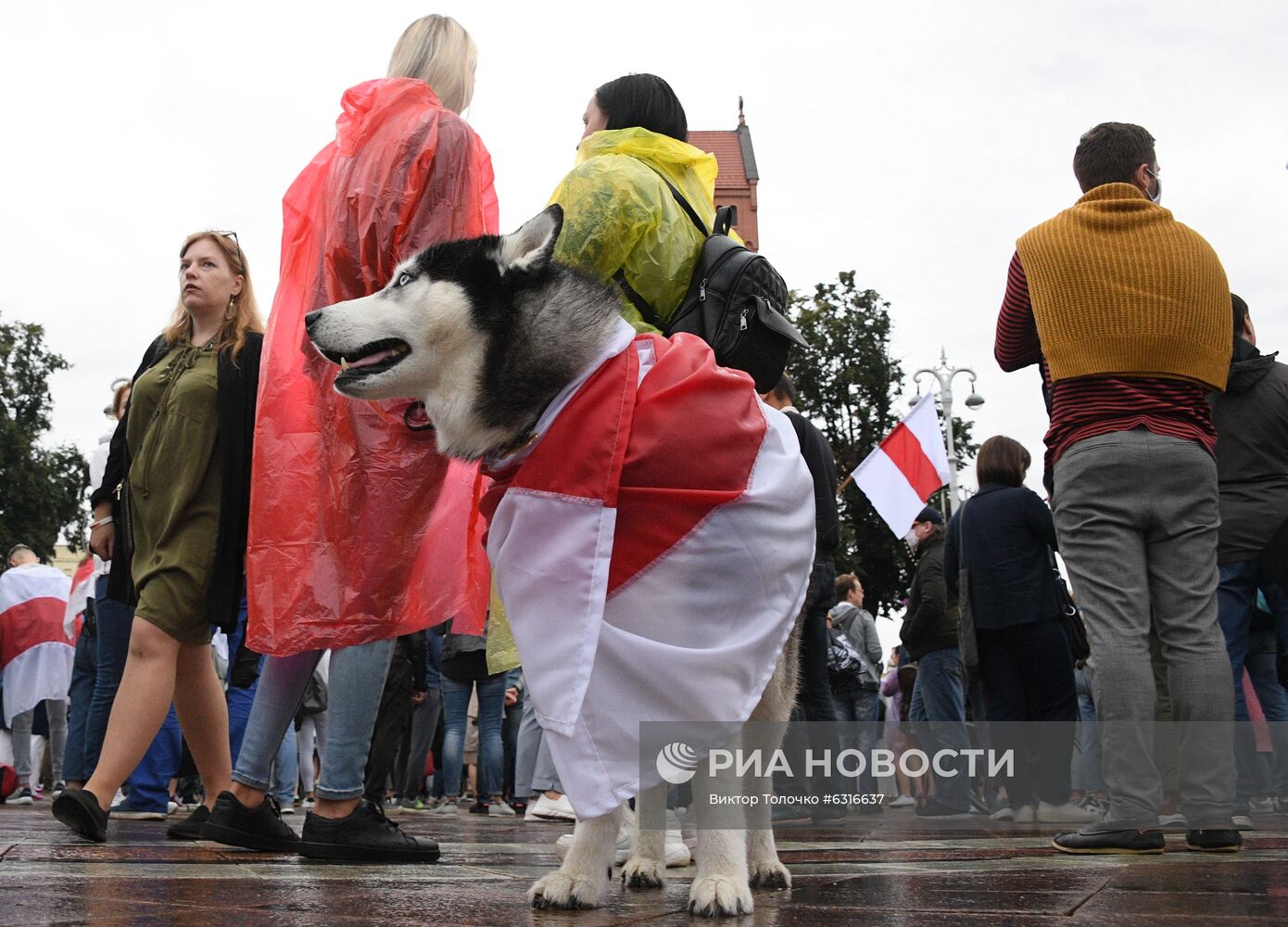 Митинг оппозиции в Минске