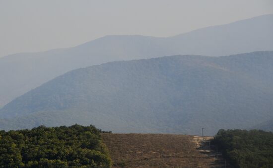  Лесные пожары в Краснодарском крае